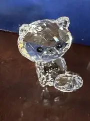 2016 Swarovski Kitten Cornelius The Persian Kitten #5223600 NIB