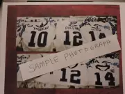 Carolina Panther HISTORY Photo of Pre Season Jerseys REICH, COLLINS AND TRUDEAU