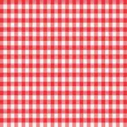 Magic Cover Red/White Checkered Vinyl Disposable Tablecloth 52 in. 52 in.