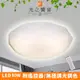 【光之饗宴】LED 80W海王星(星鑽)-調光調色吸頂燈(附遙控器)