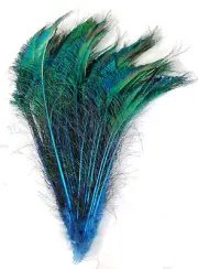 100 Pcs DYED PEACOCK SWORDS - TURQUOISE 10-15" Feathers Costume/Hats/Bridal/Pads