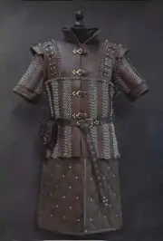 The LARP & Cosplay Costume Brown Leather Armor Chainmail with Pambeson Padded