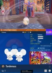 Pokemon Scarlet/Violet ✨SHINY EGG TANDEMAUS 6IV Adamant Hatch Your Egg TRADE