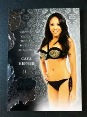 2019 Benchwarmer CAYA HEFNER 25th Anniversary #80 Silver Foil Variant/5 PLAYBOY