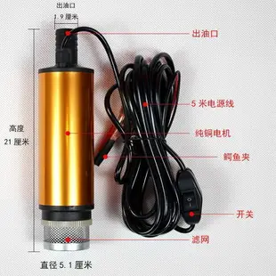 {最低價 公司貨}抽油泵柴油12V24伏220通用電動抽水泵抽油神器加油槍小型抽油機器