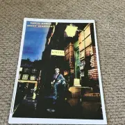 David Bowie Ziggy Stardust Poster 11 x 17 (354)