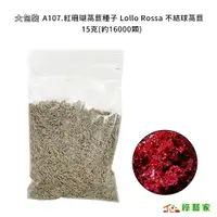 在飛比找蝦皮購物優惠-大包裝A107.紅珊瑚萵苣種子15克(約16000顆)Lol