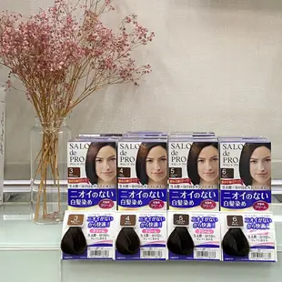 日本DARIYA塔莉雅 沙龍級染髮劑Salon de Pro 無味型白髮染 無臭無味 4色【公司貨】