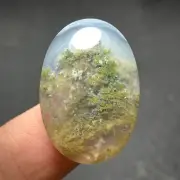 Scenic Moss Agate Cabochon 26.5x18x6mm High Quality 23.5 ct