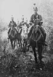 Switzerland Swiss Cavalry patrolling the border - 8x10 World War I Photo WWI