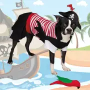 Zack & Zoey Pirate Tails Dog Halloween Costume XS w/ Parrot Toy Pet EXTRA SMALL