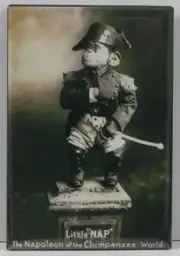 1915 "Little Nap" Photo 2" X 3" Fridge / Locker Magnet. Carnival Side Show
