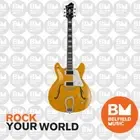 Hagstrom Super Viking Electric Guitar Semi-Hollow Dandy Dandelion w/ Hardcase