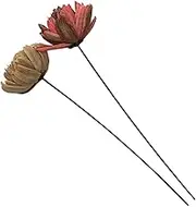 KAILIKETIY 2pcs Dried Flower Decor for Home Decoration Natural Dried Floral Ornament for Photography Wedding Decorative Prop No Watering Required and Colorfast