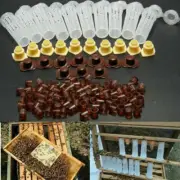 Bee Queen Rearing Cupkit Complete Box System Beekeeping Cage Kit/Set Cup