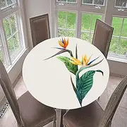 Morbuy Round Tablecloth, Fitted Table Cover with Elastic Edge, Stain Table Cloth Flower Print Tablecloths Resistant Wipeable Table Clothes (200cm Fit Table Up 170-180cm,Strelitzia Reginae)