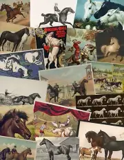 25+ Piece HORSE Theme Ephemera Lot Vintage Style for Junk Journal Scrapbook