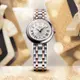 TISSOT 天梭 BELLISSIMA SMALL LADY 羅馬石英女錶-26mm T1260102201301