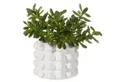 Sass & Belle: Bobble Planter - White