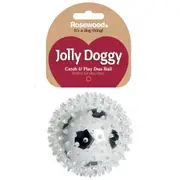 Rosewood 9cm Catch & Play Football Pet Dog Interactive Toy Bounce Ball Fun Game