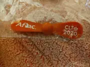 New! Donald Trump 2020 Republican National Convention Charlotte RNC Official Fan