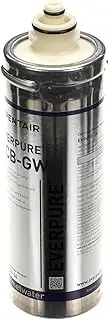 Everpure EV9618-36 2CB-GW Replacement Filter Cartridge