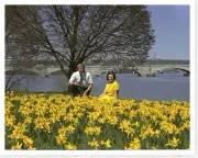 Lady Bird Johnson With Nash Castro Admiring Narcissus 8 x 10 Silver Halide Photo