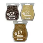 Scentsy Wax Bars Bundle Mochadoodle Vanilla Bean Buttercream Cinnamon Vanilla