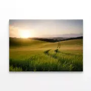 Grassy Field with a Sun, Sky Print 100% Australian Made 150 x 100cm (Stretched)