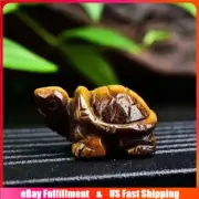 Natural Tiger's Eye Quartz Crystal Skull Carved Tortoise Healing Stone Turtle US