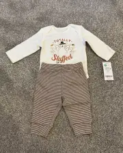 NEW Carter’s Totally Stuffed Thanksgiving Outfit Set Baby Clothes 3m 3 Months