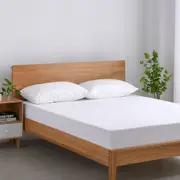 Esplanade Home Essential Waterproof Cotton Terry Mattress Protector (Single, King Single, Double, Queen, King, Super King)