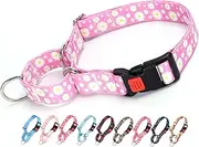 ONEFOJOJO Martingale Collar for Dogs, Pink Daisy Flowers Martingale Dog Collar Adjustable Premium Collar with Quick-release Buckle, Perfect Girl Collar for Training, Walking, Hunting (L)