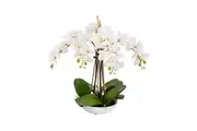 Glamorous Fusion Phalaenopsis Orchid Artificial Plant Flower Decorative 60cm White Bowl - White