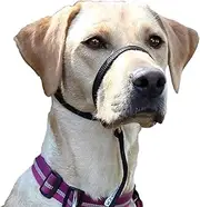 Premium Dog Harness – Training Collar Lovely Anti-Pull Harness Guaranteed Reduces Aggression Anti-Bark Collar Head Holster for Small to Large Dogs, Black