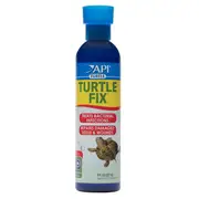 Api Turtle Antibacterial