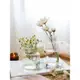 TINYHOME小花瓶民宿咖啡廳玻璃透明餐桌擺件客廳插花水養迷你花器