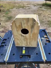 Cockatiel Nesting Box