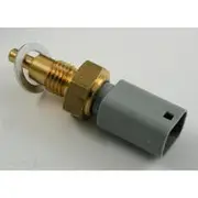 RAE Coolant Temperature Sensor - CS909