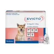 Evicto Spot On Flea & Worm Treatment for Large Dogs 20.1 - 40kg Pink 4 Pack