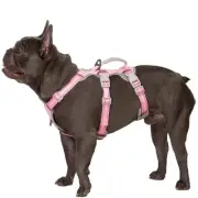 Escape Proof Dog Harness, Escape Artist Harness, Fully Reflective Harness wit...