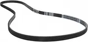 Drive Belt