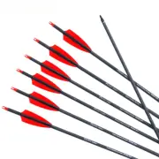 Pure Carbon Arrows 28/30/31 Inch Spine 400 Hunting Removable Tips Recurve Bow