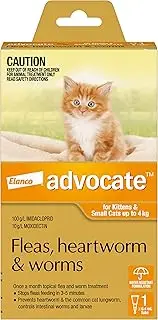 Advocate Cat, Monthly Spot-On Protection from Fleas, Heartworm and Worms, Single Pack Flea Treatment for Kittens and Small Cats up to 4 kg, 1 Pack