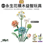 LOZ DIY永生花積木益智玩具 燦爛星河 冬雪初晴 花朝月夕 BSMI M45606 益智玩具 露營逐露天下