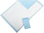 Medline Protection Plus Light Absorbency Disposable Underpads, 23x24 Inches, Ultimate Protection for Beds, Floors, Furniture, Pets - 200 Count