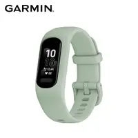 在飛比找PChome24h購物優惠-GARMIN vivosmart 5 進階版健康心率手環