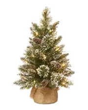National Tree Company 2ft Glittery Bristle Pine Burlap Tree NoSize NoColor