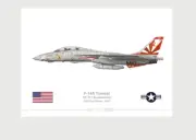 Warhead Illustrated F-14A Tomcat VF-111 Sundowners #200 Aircraft Print