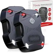 Morole Marten deterrent car-free mobile marten repellent with flash light, 12 V car battery and AA battery and USB, marten protection for car, engine compartment, garden, attic, house (2 pieces)